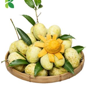 গৌড়মতি আম | ১০ কেজি (Gourmati Mango) - Premium Family Pack