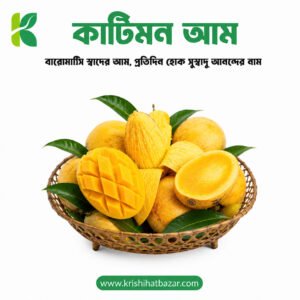 কাটিমন আম | ১০ কেজি (Katimon Mango) - Premium Family Pack